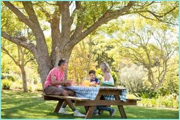 A family having a picnic under a tree